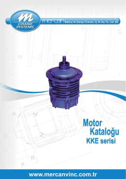 Motor v