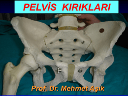 pelvis kırıkları - Prof. Dr. Mehmet AŞIK