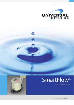 smartFlow 1 - Universal Metering