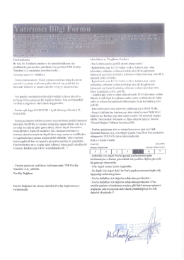 Fon Yatırımcı Bilgi Formu