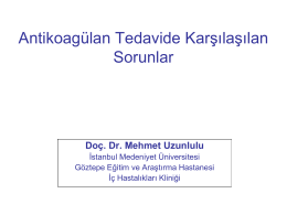 Doç. Dr. Mehmet Uzunlulu