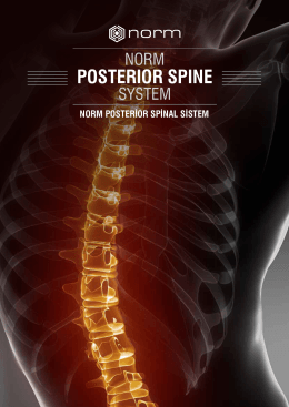 Norm Posterior Spinal System