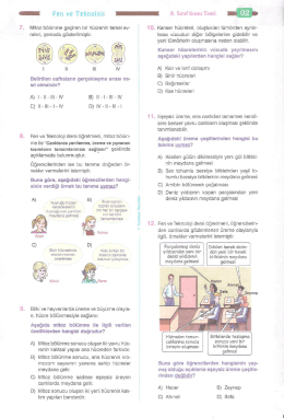 TEST 11
