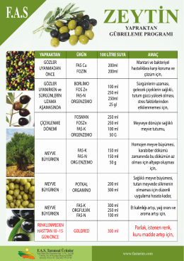 zeytin - gübreleme programı.cdr