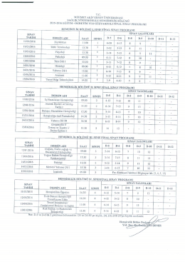 hemşirelik b&ouml;l&uuml;m&uuml; final programı - Sağlık Y&uuml;ksekokulu