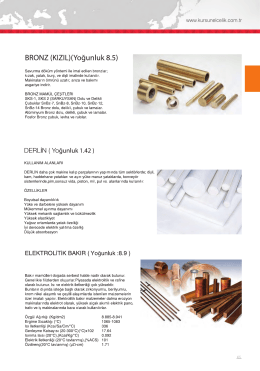 BRONZ (KlZlL)(Y0ğunIuk 8.5)