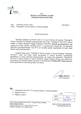 Tekirdağ Yatırım Destek Ofisi Sayı : 16256556-15300