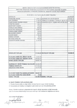 Temmuz 15 Denetim Raporu