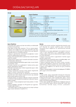 DOĞALGAZ sAYAçLARı