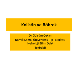 Dr. Gülsüm Özkan