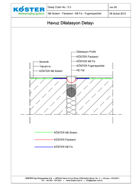 Havuz Dilatasyon Detayı NB Sistem