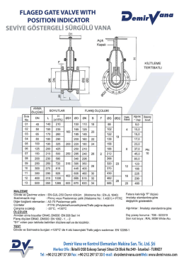 FLAGED GATE VALVE WITH