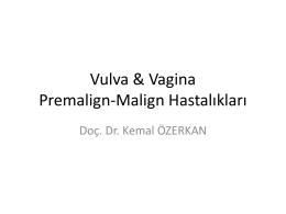 Vulva ve Vagina Premalign-Malign Hastalıkları