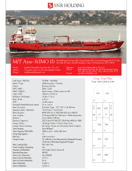 M/T Ayse - S(1MO H) Mon—Shaft,>I