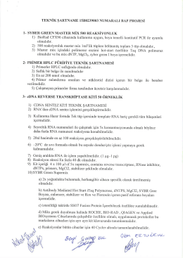 1- SYBER GREEN MASTER MİX 500 REAKSİYONLUK