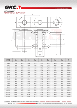 Api Zincirleri Teknik &Ouml;zellikleri