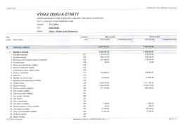 VÝKAZ ZISKU A ZTRÁTY - Jiřetín pod Bukovou