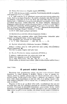 42. Sluka Swinhoeova (Capella megala [SWINH].). 30. IV. 1920