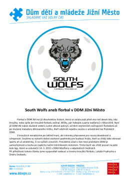 South Wolfs aneb florbal v DDM Jižní Město