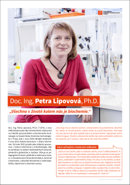 Doc. Ing. Petra Lipovová, Ph.D.