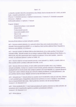 Z&aacute;pis Č. 13 z veřejn&eacute;ho zased&aacute;n&iacute; obecn&iacute;ho zastupitelstva