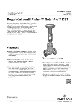 Regulační ventil Fisher™ NotchFlo™ DST