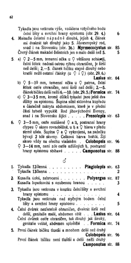 Tykadla jsou vetknuta Výše, vzdálena vztyčného bodu čelní lišty a