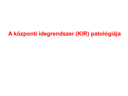 Neuropatológia I - patho.szote.u