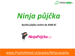 Prezentace - PujckyHned.cz