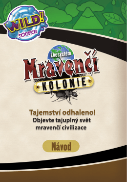 MRAVENČ&Iacute; KOLONIE - n&aacute;vod ke kreativn&iacute; sadě