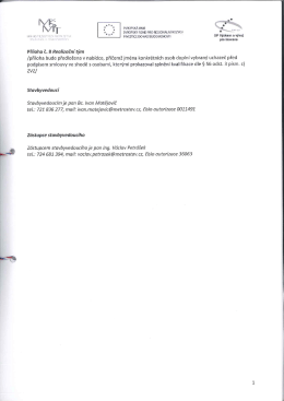 Př&iacute;loha č. 8_Realizačn&iacute; t&yacute;m