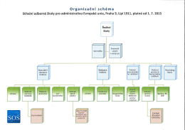 Organizační schéma
