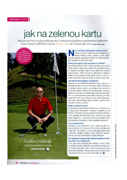 Jak na zelenou kartu