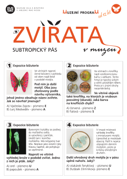 Zv&iacute;řata &ndash; Subtropick&yacute; p&aacute;s - Muzeum skla a bižuterie v Jablonci nad