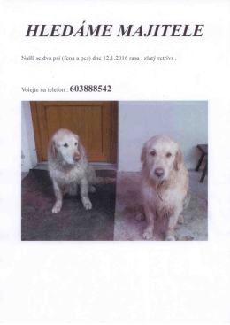 HLED&Aacute;ME MA JITELE