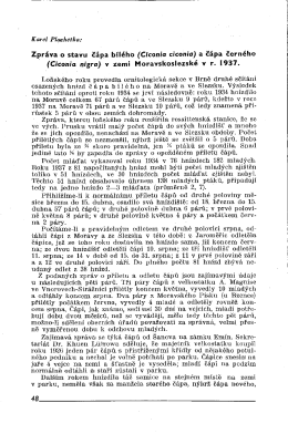 Zpráva. o stavu čápa bílého (Cíconía cíconía) a čápa černého