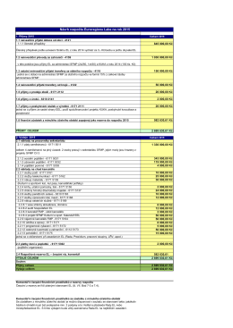 Návrh rozpočtu - Eurordgion Labe 2015