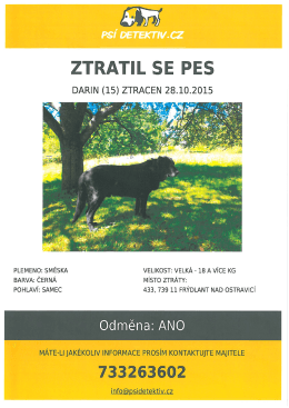 02.11.2015 Ztratil se pes