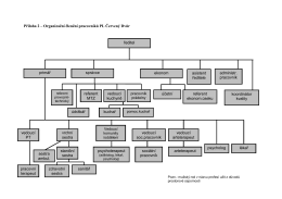 Schéma organizačního členění personálu léčebny