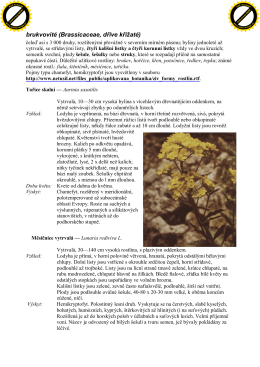 brukvovité (Brassicaceae, dříve křížaté)