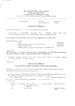 Exekučn&iacute; př&iacute;kaz-Martinkov&aacute;