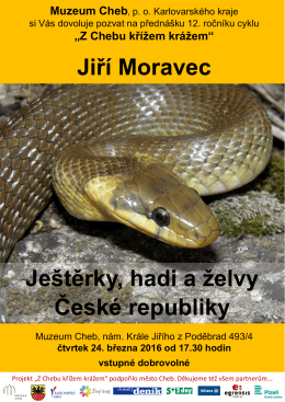 Ještěrky, hadi a želvy České republiky