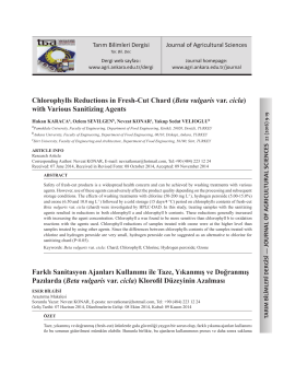Chlorophylls Reductions in Fresh-Cut Chard (Beta vulgaris var. cicla