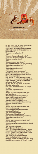 Türkçesi için tıklayınız.